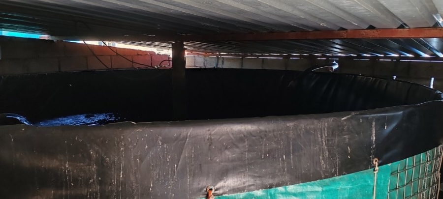 3 Bedroom Property for Sale in Hopefield Rural Western Cape